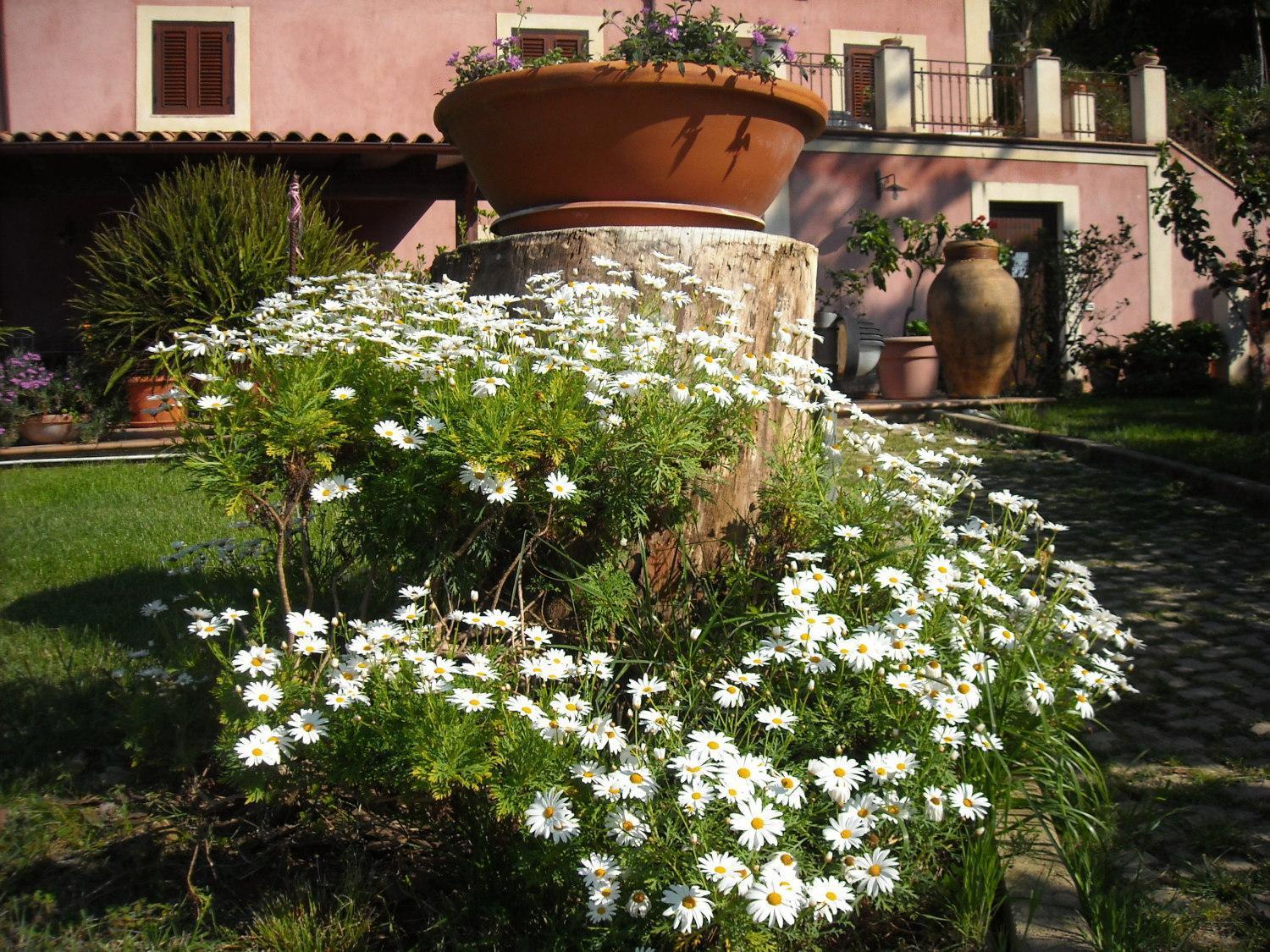 Agriturismo Villa Luca Sant'Agata di Militello Exterior photo
